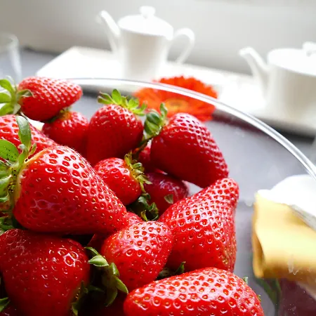 ホテル Palazzo De Noha - Boutique 4*